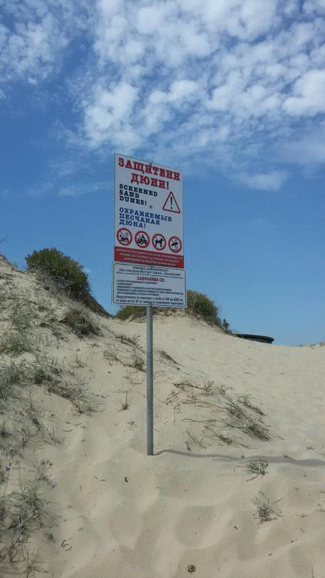 На работна среща във Варна са обсъдени мерки срещу нерегламентираното паркиране върху дюни по Северното Черноморие