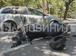 Пресъхналата река Дунав разкри и кости на кон на около 3000 години при Русе