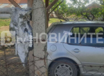 Битката с огнената стихия: Овладян ли е пожарът край Мездра и какви са щетите?