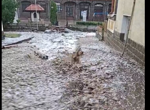 Вижте мощния GPS заглушител, открит в Драгалевци (СНИМКИ)