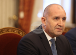 Полицията проверява сигнал от свидетел, че е забелязал вчера сутринта хищникът да пресича пътя от с. Хан Крум към кв. "Дивдядово" в Шумен