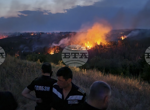 Прокуратурата ще настоява за мярка „задържане под стража“ спрямо шофьора, причинил катастрофа с трима загинали в Разград
