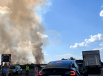 Пожар гори в района между Алдомировско блато и село Безден, община Костинброд