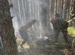 Военнослужещи от Сухопътните войски и днес се включиха в гасенето на пожара в Рила