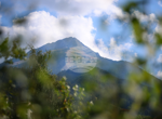 Планинските спасители издирват жена в района на Банско, съобщиха от ПСС към БЧК