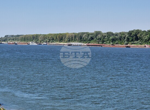 Десетки плавателни съдове изчакват в българския участък на река Дунав заради ниското ниво