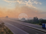 Движението на АМ "Тракия" при 69-ия км, спряно заради пожар, се пуска в платното за София, към Бургас остава затворено, съобщиха от полицията