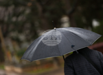 Обобщение
                                                                                Няколко пожара пламнаха в страната, в Хасковско са засегнати около 5000 декара