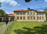 Рекордни добиви на пшеница, фермери се оплакват от изкупната цена