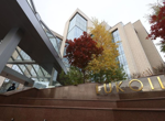 "Лукойл" обяви, че разпродава активите си в чужбина заради санкциите на САЩ "Лукойл" обяви, че разпродава активите си в чужбина заради санкциите на САЩ