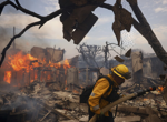 Hollywood Hills fire breaks out as deadly wildfires burn out of control across Los Angeles area