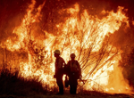 A man holding a garden hose and a father at his son’s bedside are among the LA wildfire victims