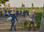 1.2 million immigrants are gone from the US labor force under Trump, preliminary data shows