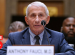 Senate panel votes on holding Fauci in contempt for pleading the Fifth over 100 times