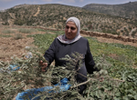 Palestinians brace as Israeli settler figures in coalition seek to cement West Bank gains before election
