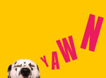 13 surprising reasons you’re always dog tired – and what to do about it