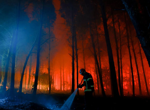 El Niño may peak at the worst time for the Amazon – and it should worry us all