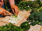 Iceberg, romaine, kale: which salad greens are healthiest?