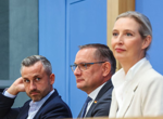 AfD's win is ‘grave moment’ for Europe, politicians warn