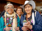 ‘In parks you only see dogs, never children’: can Bogotá adapt to its ageing population?