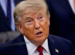 Trump facing AI backlash in Congress as push for guardrails intensifies