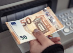 Без повод и намордник: 8 немски овчарки убиха друго куче в София