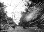 Българските праскови – деликатес за богатите тази година