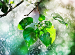 „Евровизия“ – музикалният спектакъл, който покори света
