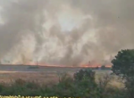 Голям пожар бушува в Хасковско между Динево и Корен, огънят застрашава гора