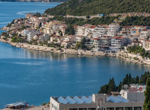 Ужас във ферма: Животни умират, труповете им остават да се разлагат