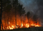 Thousands evacuated as fires creep towards Bordeaux while authorities scramble to fight flames near Madrid