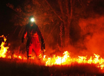 Europe is burning: How bad could this wildfire crisis get?