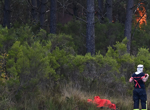 EU wildfire strategy falls short as southern Europe faces another devastating fire season