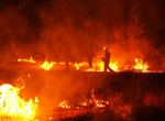 Who started the fire? Inside Europe's arson intelligence gap