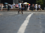 Europe heatwave puts all major Italian cities on red alert as Austria sets heat record