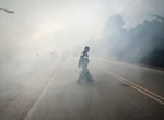 'Wall of fire' forces sea evacuation in Greece as wildfires continue across Europe