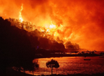 Europe wildfires: German border town partially evacuated but France blaze stabilised