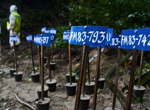 Mass burials of unidentified victims continue in Nepal as death toll exceeds 1,000 one week after flash floods