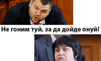 Биволъ