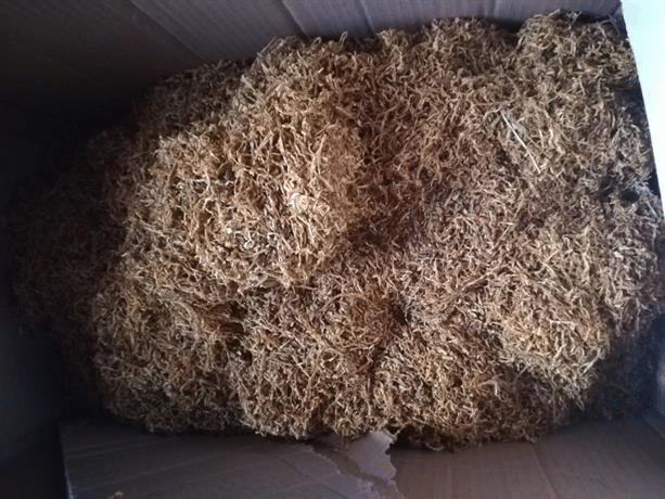 Близо 200 000 къса контрабандни цигари са иззети при спецакции в областите Враца, Кърджали и Пазарджик