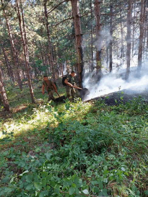 Военнослужещи от Сухопътните войски помагат за потушаването на пожара в Свиленградско
