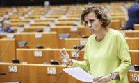 Биволъ