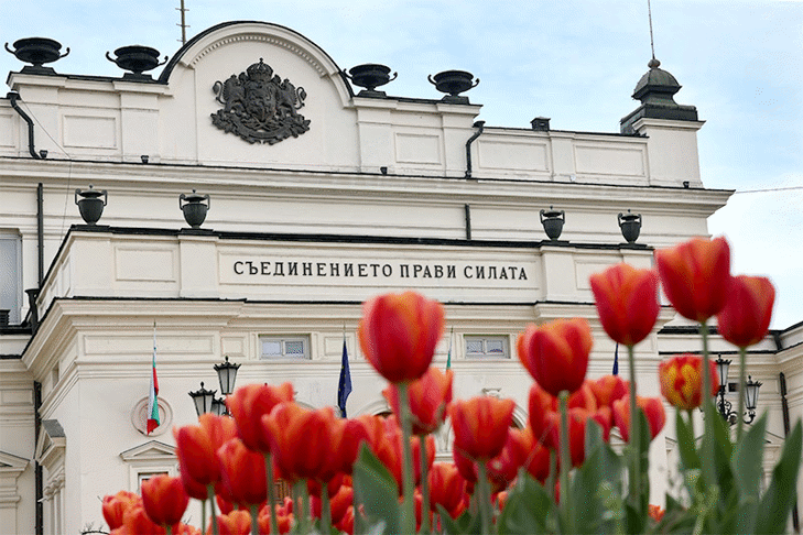 Организациите от обществения сектор са длъжни да реализират автоматизирани интерфейси за осигуряване на свободен публичен достъп до електронните документи, прие на първо четене парламентът
