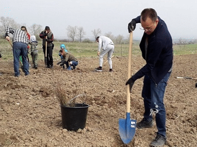 Започна засаждането на Новата гора на София