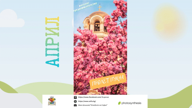 Улови пролетта в кадър!