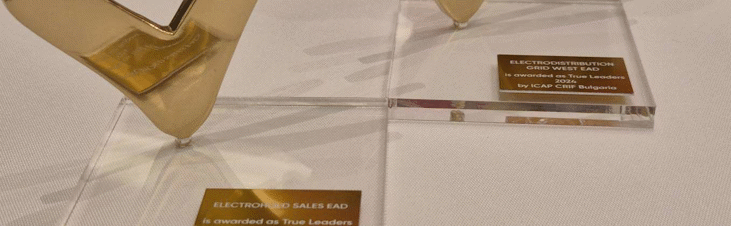 ЕРМ Запад и Електрохолд Продажби с наградата TRUE LEADERS