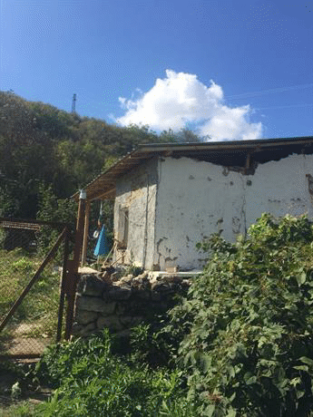 Над 120 кг марихуана са иззели служители на РУ -Кнежа