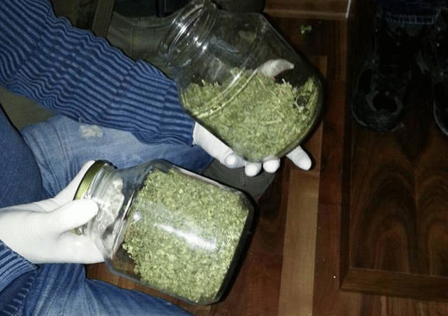 Наркооранжерия в Самоковско разкриха криминалисти на ГДНП