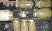 МВР