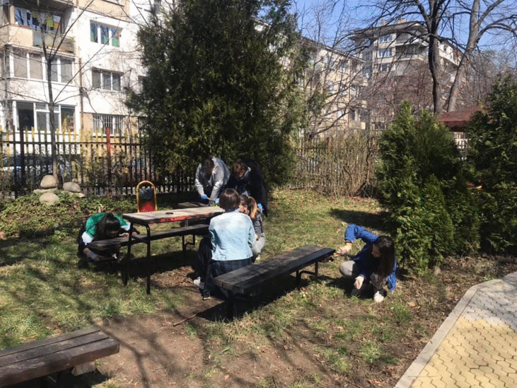 Възпитаници на 51-во училище засадиха дървета
